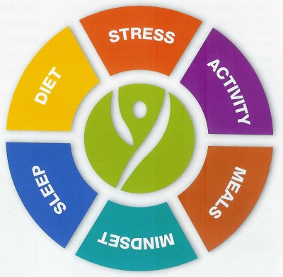 BodyKey Wheel
